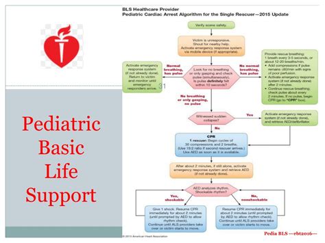 Part 4: Pediatric Basic and Advanced Life Support 